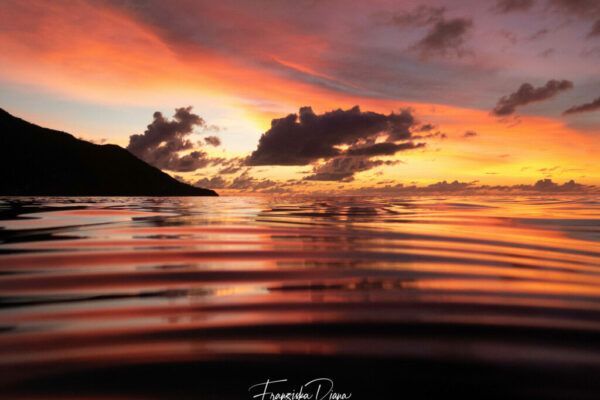 Seychellen Unterwasser mit Funny Diving