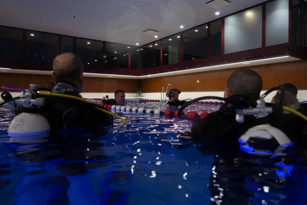 Ready-to-dive?