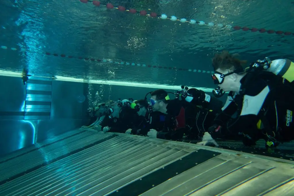 Zuschauerreihe-im-Pool-Staff-Weiterbildung-volle-Konzentration